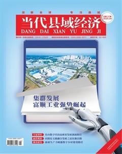 当代县域经济