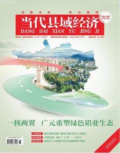 当代县域经济