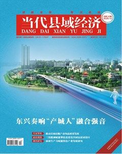 当代县域经济