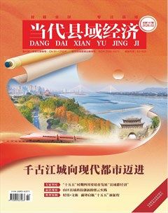 当代县域经济