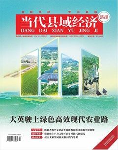当代县域经济