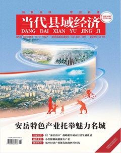 当代县域经济