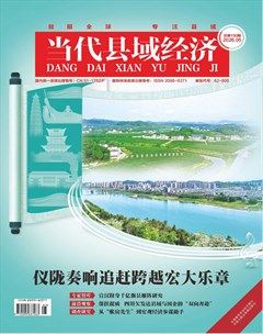 当代县域经济