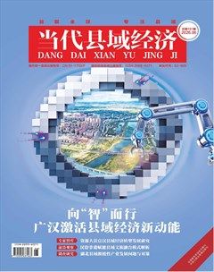 当代县域经济