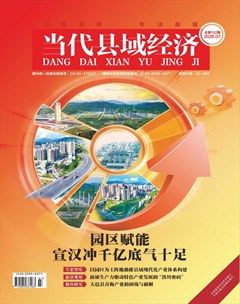 当代县域经济