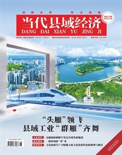 当代县域经济