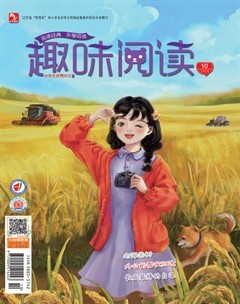 小學(xué)生優(yōu)秀作文·趣味閱讀