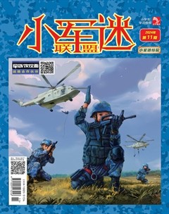 小学生学习指导·小军迷联盟