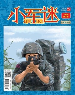 小学生学习指导·小军迷联盟
