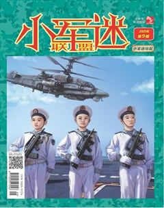 小学生学习指导·小军迷联盟