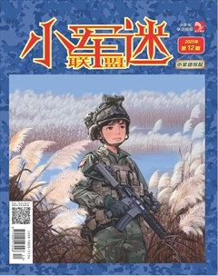 小学生学习指导·小军迷联盟