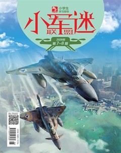 小学生学习指导·小军迷联盟