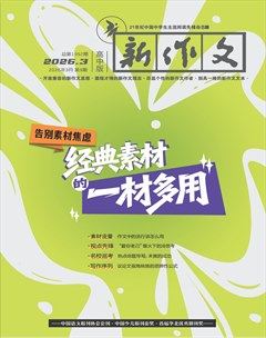 新作文·高中版