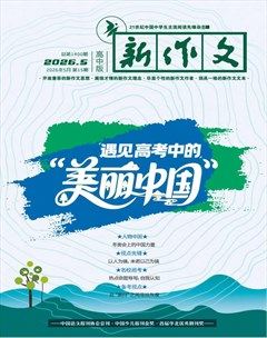 新作文·高中版