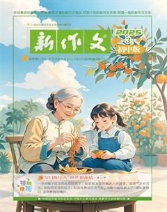 新作文·初中版