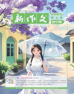 新作文·初中版