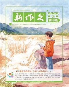 新作文·初中版