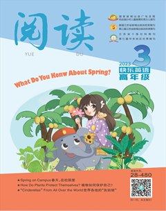 阅读（快乐英语高年级）