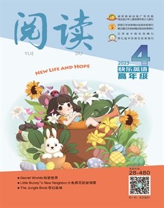 阅读（快乐英语高年级）