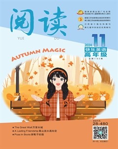 阅读（快乐英语高年级）