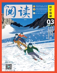 阅读（科学探秘）