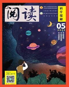 阅读（科学探秘）