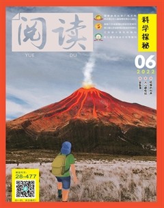 阅读（科学探秘）