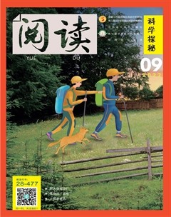 閱讀（科學探秘）