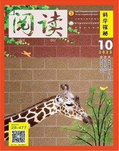 阅读（科学探秘）