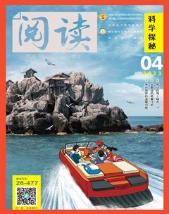 阅读（科学探秘）