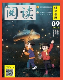 阅读（科学探秘）