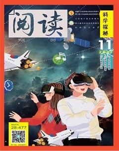 阅读（科学探秘）