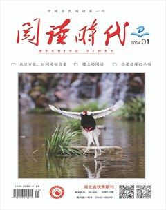 阅读时代