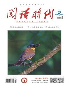 阅读时代