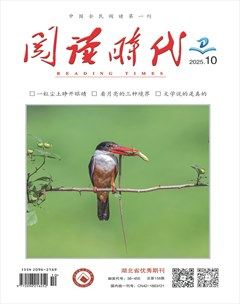 阅读时代