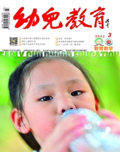 幼儿教育·教育教学版