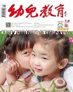 幼儿教育·教育教学版