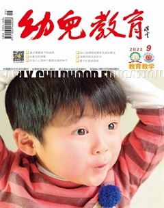 幼儿教育·教育教学版