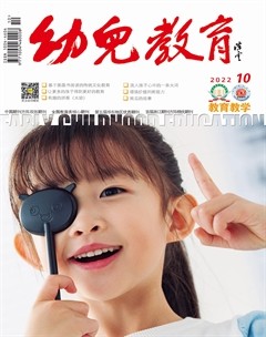 幼儿教育·教育教学版