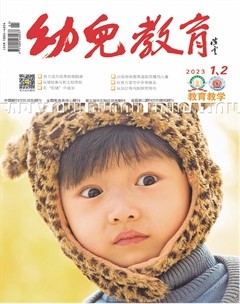 幼儿教育·教育教学版