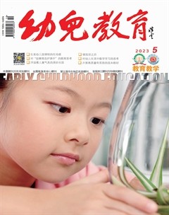 幼儿教育·教育教学版