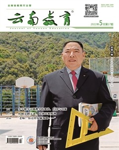 云南教育·小学教师