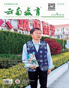 云南教育·小学教师