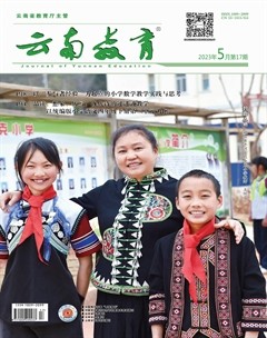 云南教育·小学教师