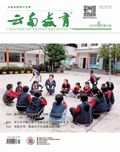 云南教育·小学教师