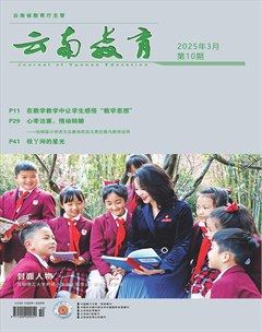 云南教育·小学教师