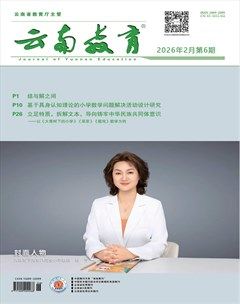 云南教育·小学教师