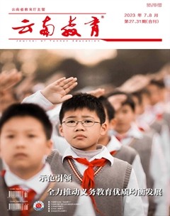 云南教育·视界