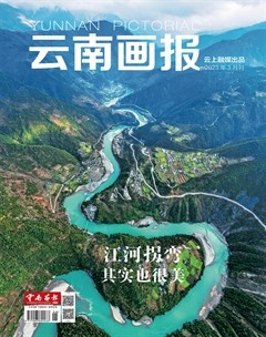 云南画报