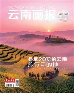 云南畫(huà)報(bào)